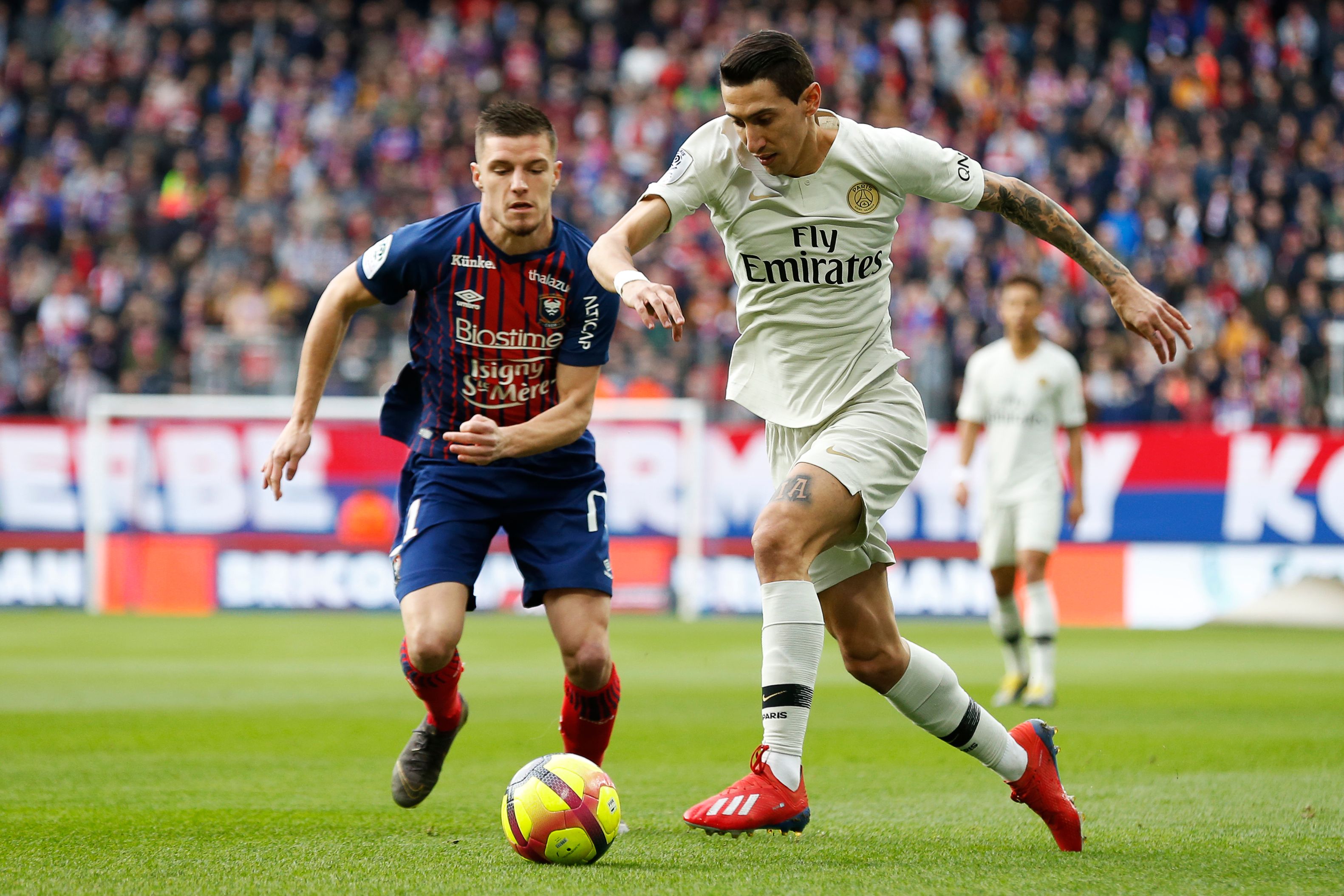 澳超前瞻：西悉尼流浪者德比战意十足，悉尼FC联赛高歌猛进