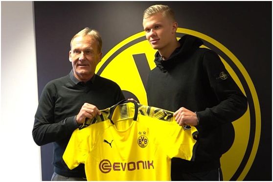 国乒人事震动！王励勤、王皓掌权暗藏玄机，马琳去向成最大悬念